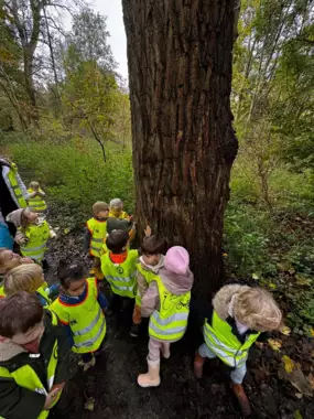 463868662_8717904251660973_8458936928147522076_n -  - Uitstap naar het bos