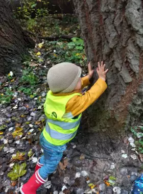 464180562_2678110405694755_873602761779099893_n -  - Uitstap naar het bos
