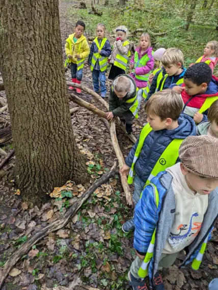 463617532_10161670918849477_5047125977543505428_n -  - Kabouters in het bos?