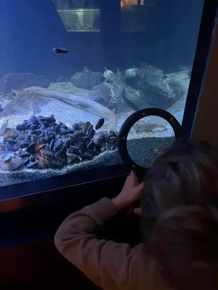 466965353_10161855979262661_5487883130793099849_n -  - 1ste leerjaar naar het visserijmuseum