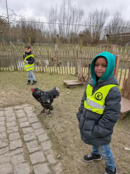 483623174_10162328263774477_1506302497958513254_n -  - Naar de kinderboerderij