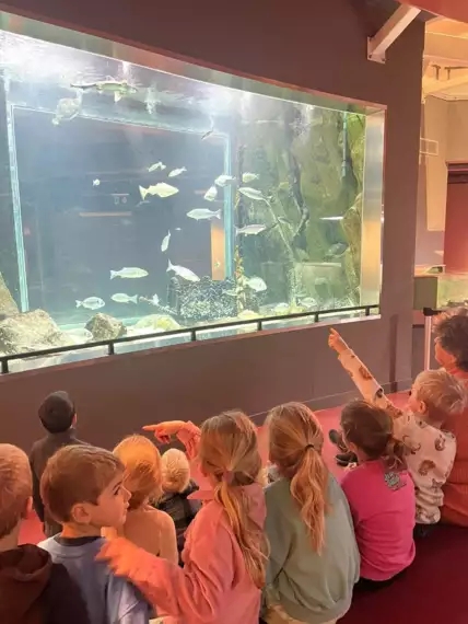 466582658_10161855979337661_8374963864951886737_n -  - 1ste leerjaar naar het visserijmuseum
