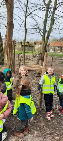 480064240_3758826597597141_250695609848954660_n -  - Naar de kinderboerderij