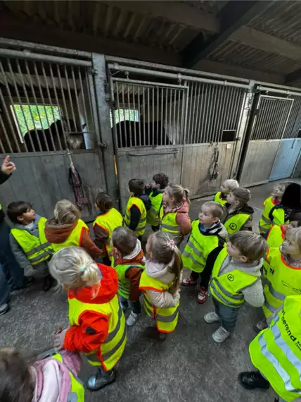 468520210_8941271732657556_6962239142793379907_n -  - K1 naar de manege