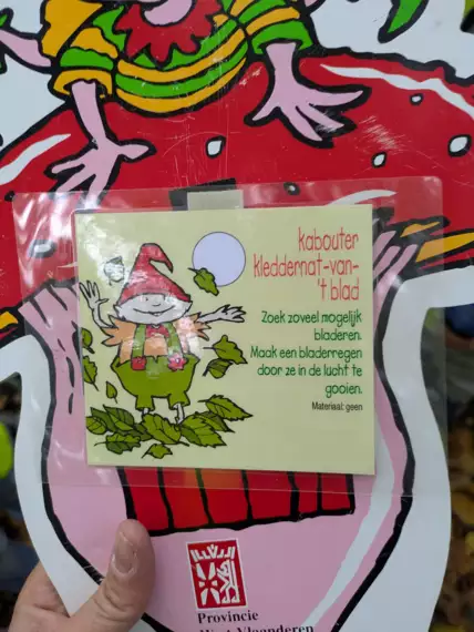 463463434_10161670918224477_261790820254815051_n -  - Kabouters in het bos?