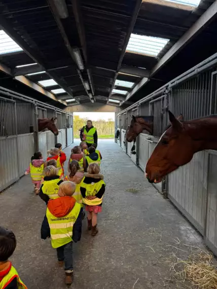 468001632_8941273935990669_4295181671173850171_n -  - K1 naar de manege