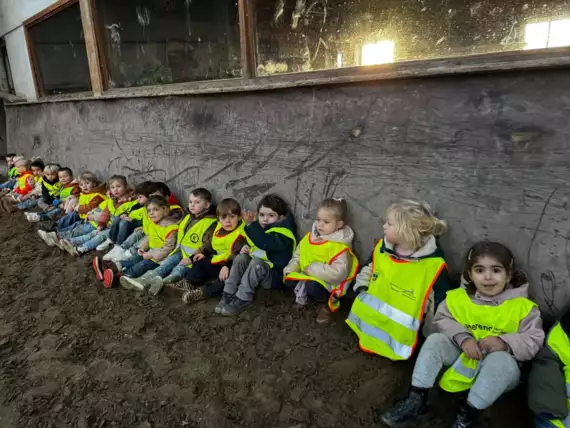 468651511_8941274025990660_3176478074676135236_n -  - K1 naar de manege