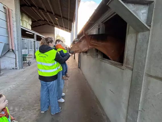 468300113_8941272915990771_39658551379792847_n -  - K1 naar de manege