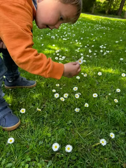 495835456_9906279439490109_5422019325478702384_n -  - Bloemenfeest
