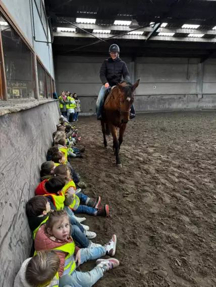 468329960_8941272129324183_3890810408732737201_n -  - K1 naar de manege