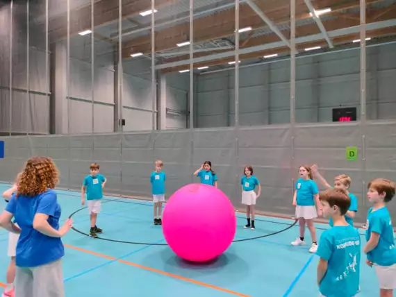 482065550_10162490835202866_2701751093106843410_n -  - Alles met de bal